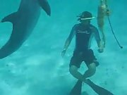 swimming with a frisky dolphin